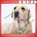 2015 new style zinc alloy soft enamel dog tags